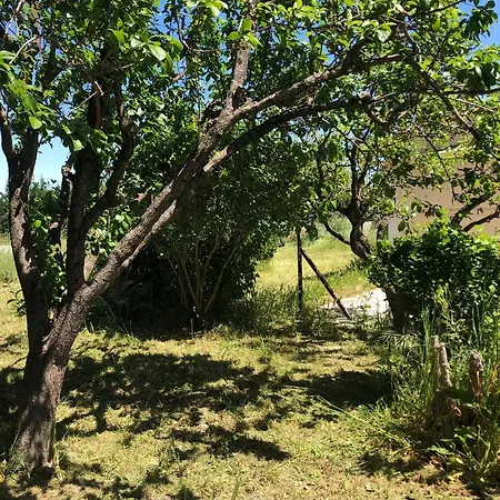 Dans Maison Avec Piscine Et Jardin 4 Ou 6 Personnes アパート *